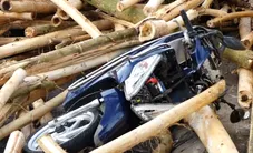 Hiểm họa tai nạn giao thông từ xe chở gỗ keo
