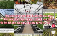 Chưa cấp phép cho doanh nghiệp nào tuyển chọn lao động sang Israel