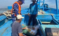 Tạm giữ tàu vận chuyển gần 3 tấn mực khô không rõ nguồn gốc
