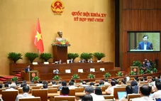 Công ty con, liên kết không được hưởng thuế ưu đãi thu nhập doanh nghiệp