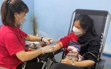 Giả danh nhân viên y tế lừa đảo người hiến máu