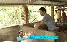 Bố ơi! Mình đi đâu thế: MC Phan Anh “hết hồn” vì bị lợn cắn