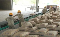 Xi măng dự kiến tăng giá nhẹ trong tháng 10
