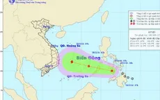 Đà Nẵng-Kiên Giang chủ động ứng phó với áp thấp nhiệt đới