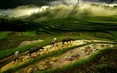 Triển lãm ảnh Di sản Việt Nam 2014: Phác họa vẻ đẹp cuộc sống
