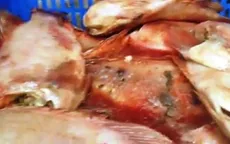 Bình Dương: Bắt xe tải chở cá thối chế biến suất ăn cho học sinh