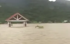 Đảo Cô Tô: Thực phẩm và rau xanh chỉ có thể đáp ứng được hơn 3 ngày nữa
