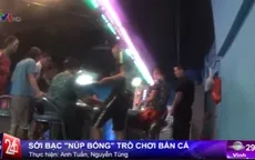 Cảnh báo hiện tượng sới bạc "núp bóng" trò chơi bắn cá