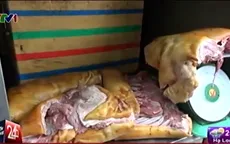 "Hoảng hồn" với việc hô biến thịt heo nái thành heo rừng kiếm lời