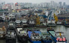 Hơn 30.000 người dân Trung Quốc sơ tán trước bão Mujigae