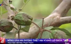 Hải Dương: Người dân "ứa nước mắt" vì khói lò gạch