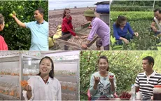 Bật mí bí kíp làm giàu chỉ có trong "Sinh ra từ làng"