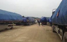 Hà Tĩnh: Phạt gần 400 triệu đồng đoàn xe chở gỗ quá tải