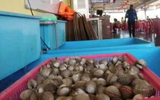 Giá hải sản Mỹ giảm mạnh do sản phẩm nhập khẩu