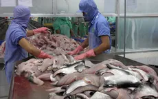 Cá da trơn Việt nhọc nhằn đường vào Mỹ