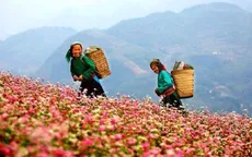 Việt Nam sẽ xuất hiện nhiều hơn trong phim Mỹ