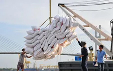 Hợp đồng xuất khẩu gạo tháng 10 cao nhất từ trước đến nay