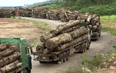 Bộ Tài chính gỡ vướng về nhập khẩu gỗ tại cửa khẩu La Lay