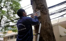 Hà Nội: Treo biển lấy ý kiến người dân về thay thế cây xanh