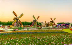 Choáng ngợp vườn hoa lớn nhất thế giới giữa sa mạc ở Dubai