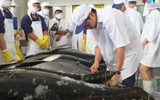 100% cá ngừ Việt Nam nhập khẩu vào Mỹ bị kiểm tra