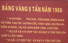 Đổi thay trên quê hương 5 tấn