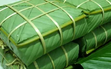 Tết ở một gia đình người Việt tại Bỉ