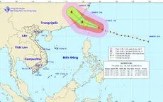 Bão Soudelor chuẩn bị đổ bộ vào Đài Loan (Trung Quốc)
