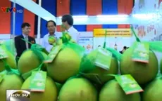 Việt Nam có khoảng 40 sản phẩm được bảo hộ chỉ dẫn địa lý