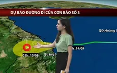 Tối 14/9, bão số 3 đổ bộ Quảng Nam - Quảng Ngãi