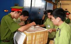 Ninh Bình: Phát hiện xe khách vận chuyển hơn 700kg nội tạng động vật trái phép