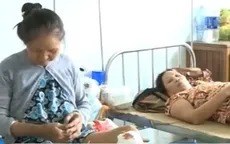 Truy tìm dấu vết lợn rừng tấn công người tại Quảng Nam
