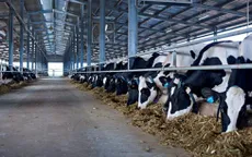 Doanh nghiệp Việt chuyển hướng sang đầu tư phát triển nông nghiệp