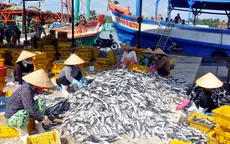 Xây dựng Trung tâm nghề cá lớn tại Hải Phòng