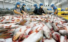 Kim ngạch xuất khẩu cá tra 9 tháng đầu năm 2015 giảm 9,3%