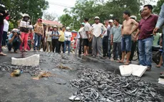 Dân đổ cá ra đường phản đối doanh nghiệp gây ô nhiễm