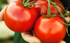 7 lưu ý cần nhớ khi ăn cà chua