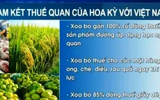 11 nước cam kết xóa bỏ thuế nhập khẩu với hàng hóa Việt Nam