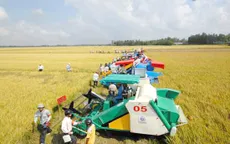 An Giang xúc tiến đầu tư nông nghiệp, nông thôn
