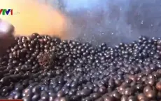 Bất chấp thủ đoạn sản xuất cà phê “bẩn” vì lợi nhuận siêu khủng