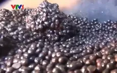 Cà phê “bẩn” - nguyên nhân khiến ung thư gia tăng