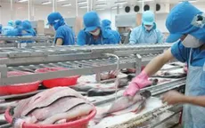 Những bất cập trong Nghị định 36 về cá tra
