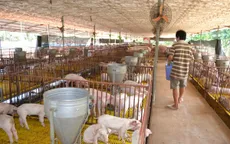 Nâng cao nhận thức nông hộ nhỏ để cạnh tranh khi hội nhập