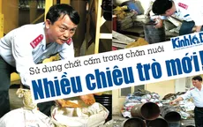 Điểm báo sáng 08/12: Lắm chiêu sử dụng chất cấm trong chăn nuôi