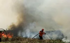 Singapore hỗ trợ Indonesia giải quyết nạn khói mù