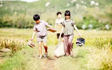 Chiếu miễn phí 20 phim truyện Việt Nam tranh giải Bông Sen Vàng