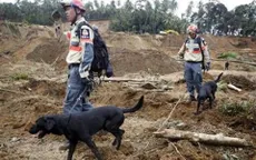 Huấn luyện chó cứu hộ động đất tại Nhật Bản