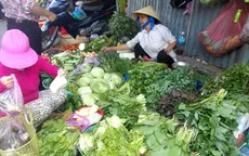 Giá rau tăng do nắng hạn
