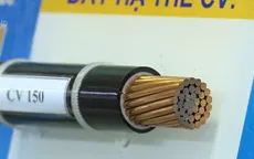 Công nghiệp phụ trợ Việt Nam tăng cường nội địa hoá để giảm chi phí