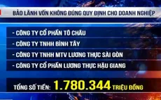 Kiến nghị xử lý hơn 205 tỷ đồng sai phạm tại Tổng Công ty Lương thực miền Nam